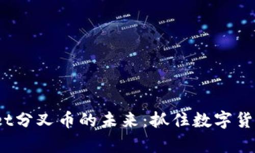 探索 tpWallet分叉币的未来：抓住数字货币时代的机遇