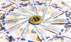 探索数字钱包官方版：开启你的无现金生活新篇