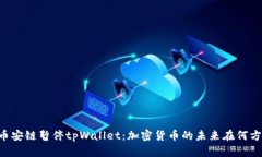 币安链暂停tpWallet：加密货币的未来在何方？