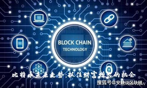 比特币未来走势：抓住财富增长的机会