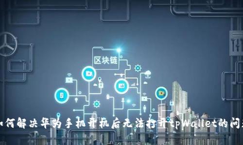 如何解决华为手机开机后无法打开tpWallet的问题