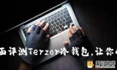 安全与便捷：全面评测Terzor冷钱包，让你的数字