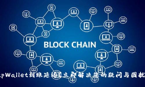 tpWallet到账延迟？立即解决您的疑问与困扰！