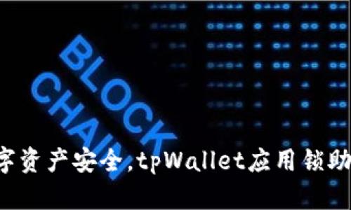 保护你的数字资产安全，tpWallet应用锁助你无忧使用！