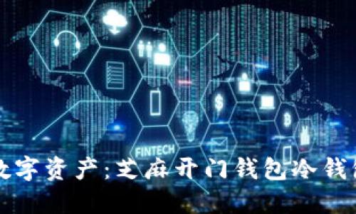 保护你的数字资产：芝麻开门钱包冷钱包使用指南