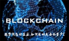 数字钱包被盗后，如何追回失去的资产？