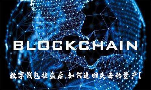 数字钱包被盗后，如何追回失去的资产？