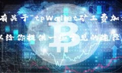 关于“tpWallet矿工费加油站”的具体信息需要进一