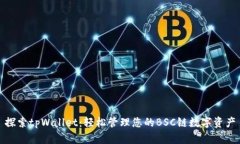 探索tpWallet：轻松管理您的BSC链数字资产