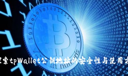  探索tpWallet公钥地址的安全性与使用方法