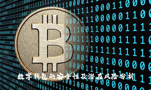 数字钱包的安全性及潜在风险分析