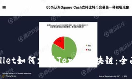 tpWallet如何支持Terra区块链：全面解析