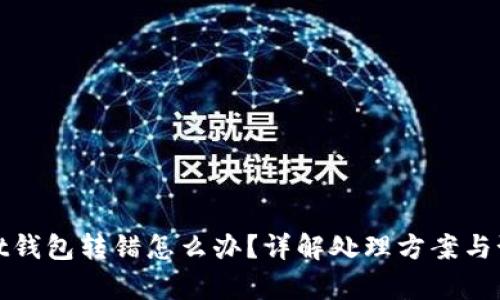 tpWallet钱包转错怎么办？详解处理方案与预防措施
