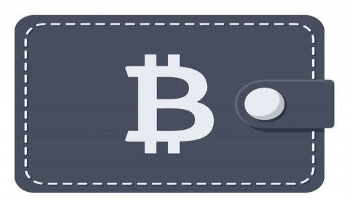 

深入解析tpWallet充币地址的使用与安全性