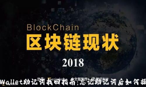 
tpWallet助记词找回指南：忘记助记词后如何操作