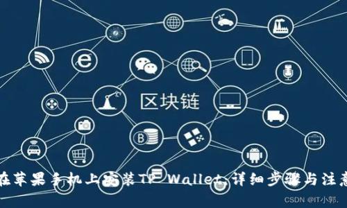 如何在苹果手机上安装TP Wallet：详细步骤与注意事项