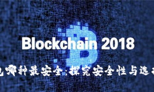 冷钱包哪种最安全：探究安全性与选择指南