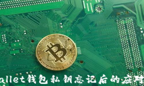 
tpWallet钱包私钥忘记后的应对方案