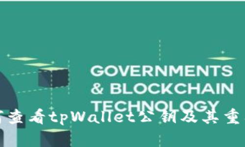 如何查看tpWallet公钥及其重要性