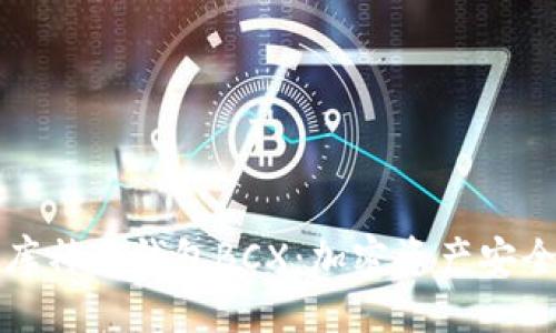 ```xml
深入解析库神冷钱包BCX：加密资产安全的新选择