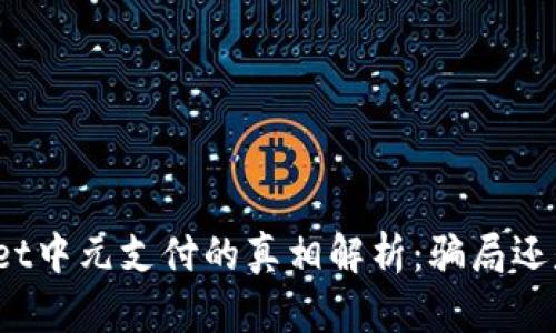 : tpWallet中元支付的真相解析：骗局还是新机遇？