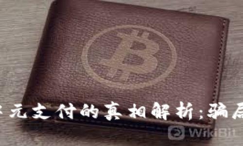 : tpWallet中元支付的真相解析：骗局还是新机遇？