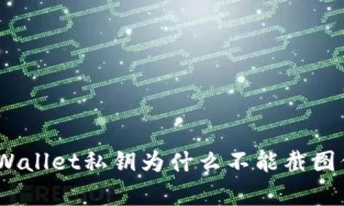 : tpWallet私钥为什么不能截图保存？