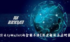 为什么tpWallet的金额不涨？深度解析与应对策略