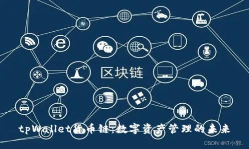 tpWallet货币链：数字资产管理的未来