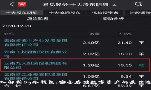 深入解析Bg冷钱包：安全存储数字资产的最佳选择