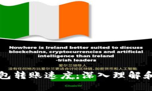 冷钱包转账速度：深入理解和实践