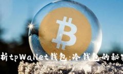  深度解析tpWallet钱包：冷钱包的秘密与优劣