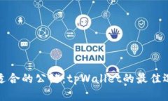 选择最适合的公链：tpWallet的最佳选择指南