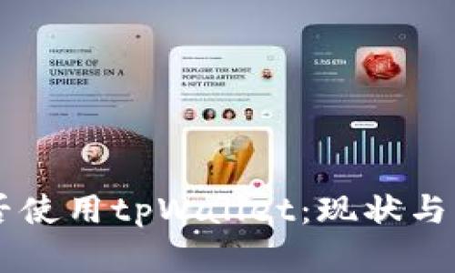 印度能否使用tpWallet：现状与未来展望