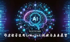 印度能否使用tpWallet：现状与未来展望