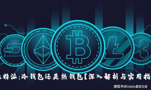 比特派：冷钱包还是热钱包？深入解析与实用指南