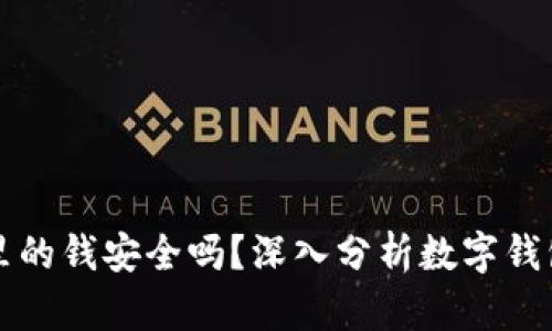 tpWallet里的钱安全吗？深入分析数字钱包的安全性