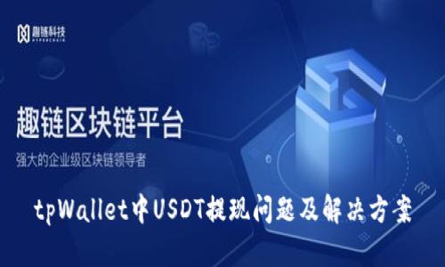 tpWallet中USDT提现问题及解决方案