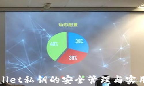 
tpWallet私钥的安全管理与实用指南