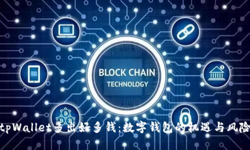 tpWallet多出好多钱：数字钱包的机遇与风险