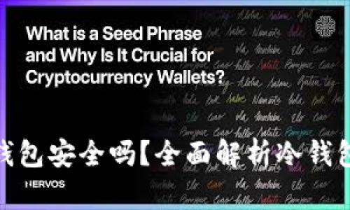 数字资产存入冷钱包安全吗？全面解析冷钱包的安全性与风险