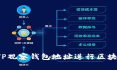  如何通过TP观察钱包地址进行区块链数据分析