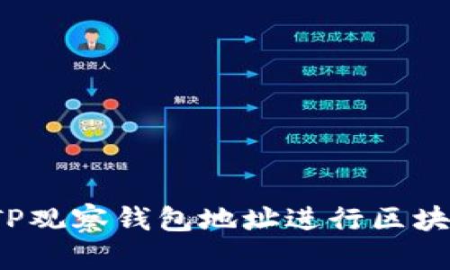  如何通过TP观察钱包地址进行区块链数据分析