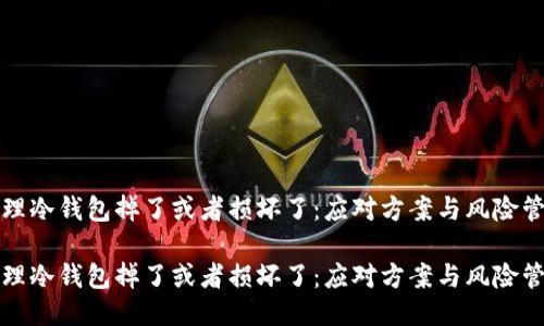 物理冷钱包掉了或者损坏了：应对方案与风险管理

物理冷钱包掉了或者损坏了：应对方案与风险管理