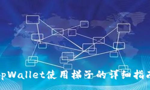 :
tpWallet使用梯子的详细指南