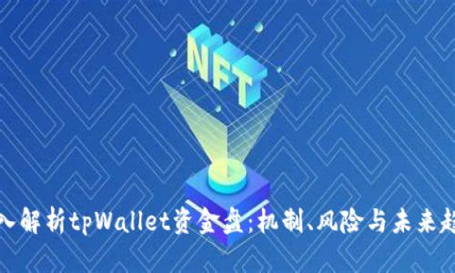 深入解析tpWallet资金盘：机制、风险与未来趋势