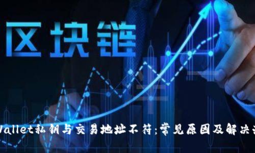 tpWallet私钥与交易地址不符：常见原因及解决办法