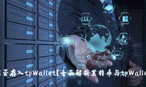 : 莱特币能否存入tpWallet？全面解析莱特币与tpWallet的兼容性