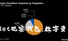 深入分析tpWallet观察钱包：数字资产管理的新选择