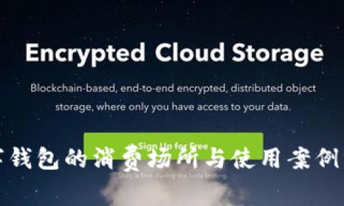数字钱包的消费场所与使用案例分析